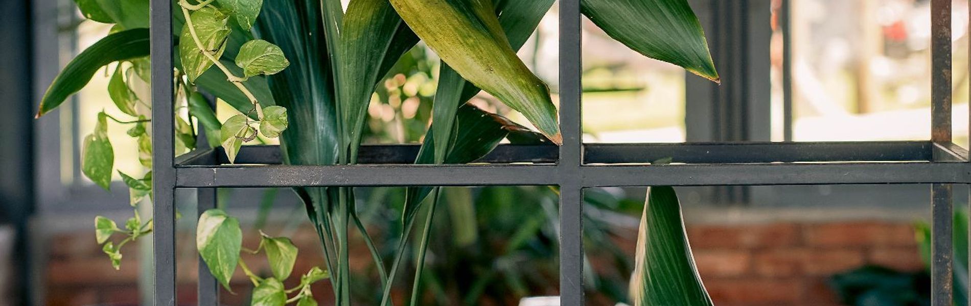 Apart Hotel Ribera del Baradero