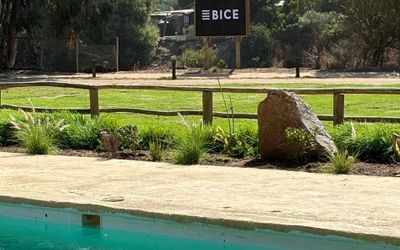 Parquelaguna - Piscina del parque