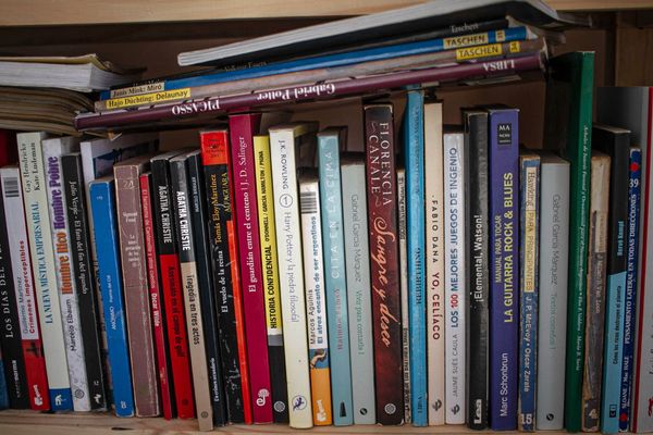 DOMO ALLPA CON PROYECTOR Y PANTALLA