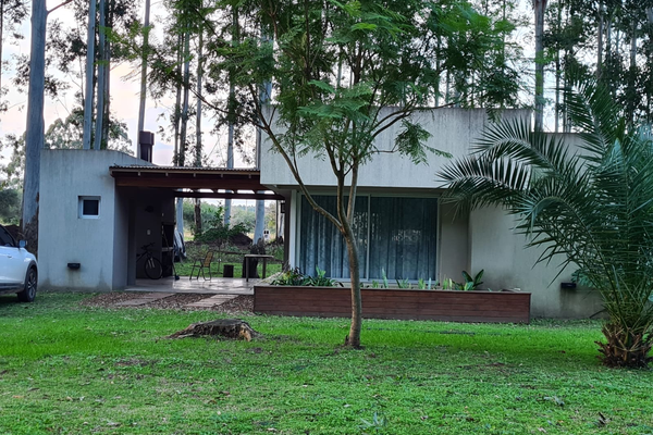 JACARANDA