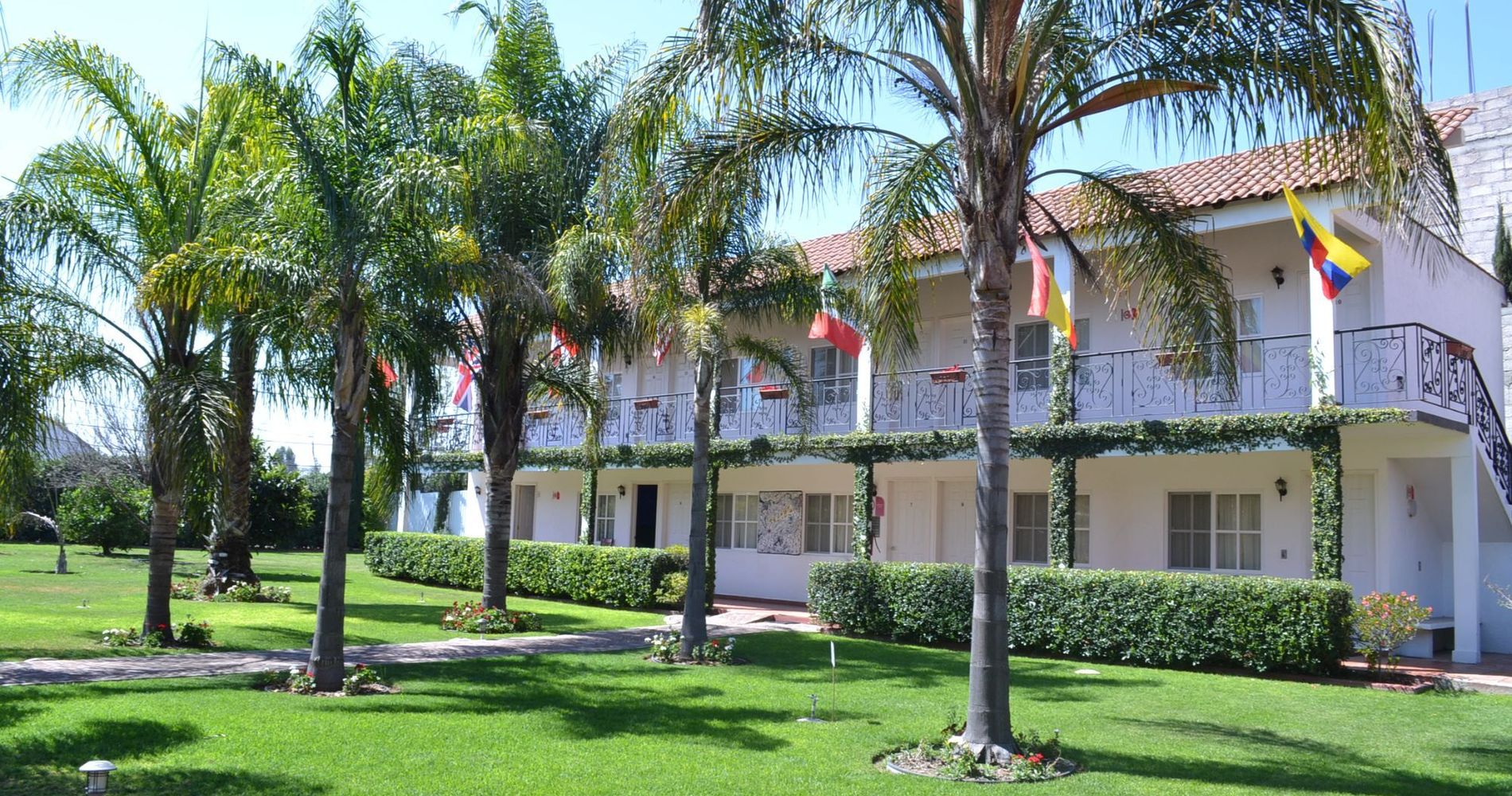 Teotihuacan Palms