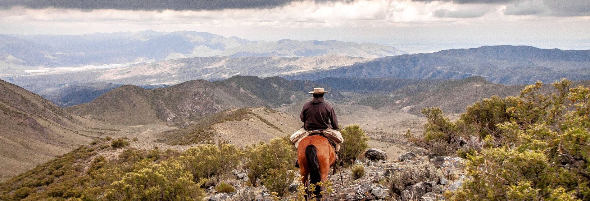 Paradise Departamentos