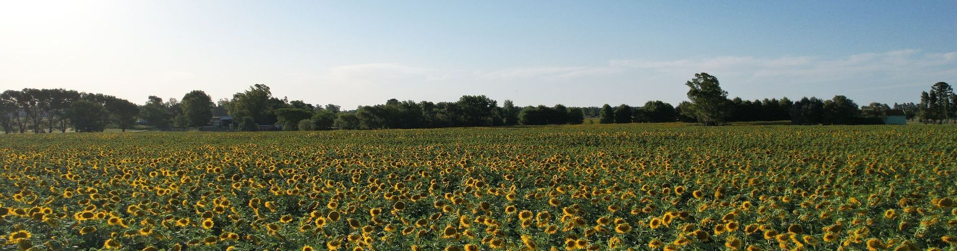 La Santina Posada de Campo & Eventos