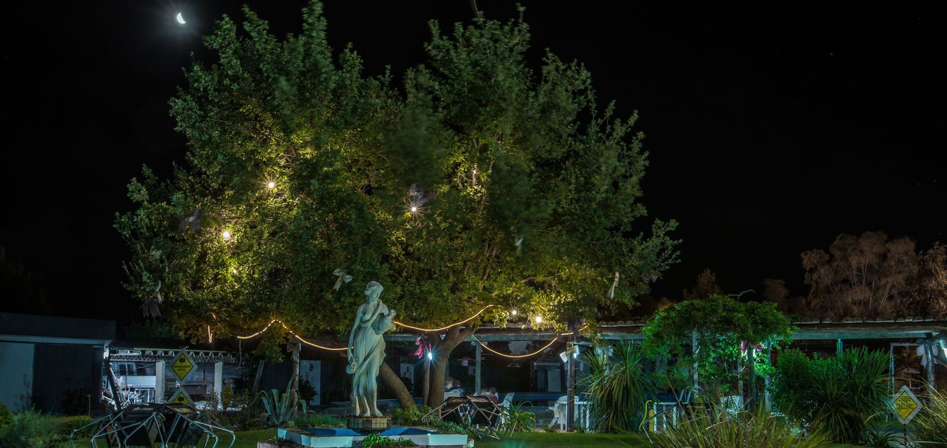 ARBOLEDA ITALIANA AÑEJA