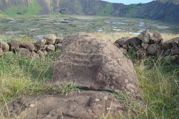 Ruta Tangata Manu - Half Day