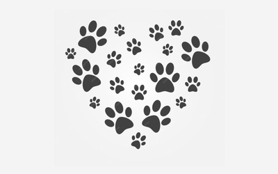 AlcantaraHotelChacras - Mascotas pequeñas permitidas con cargo adicional.