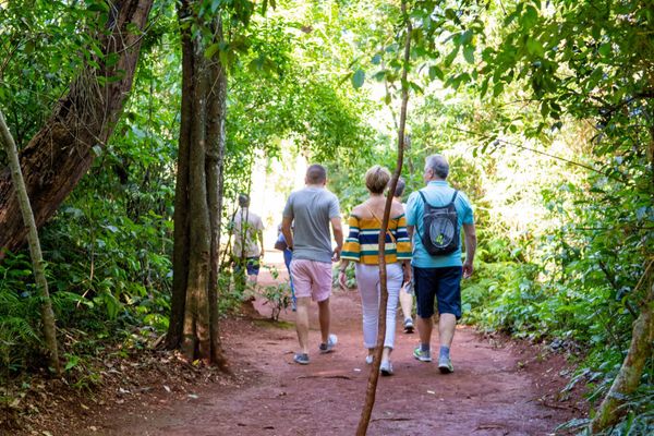 Glamping Selva Iguazú