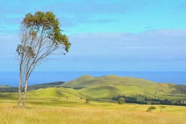 Cabalgata al Maunga Terevaka*