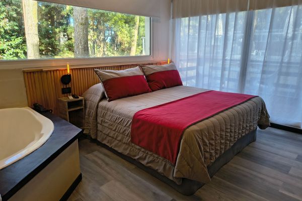 Suite Premium
