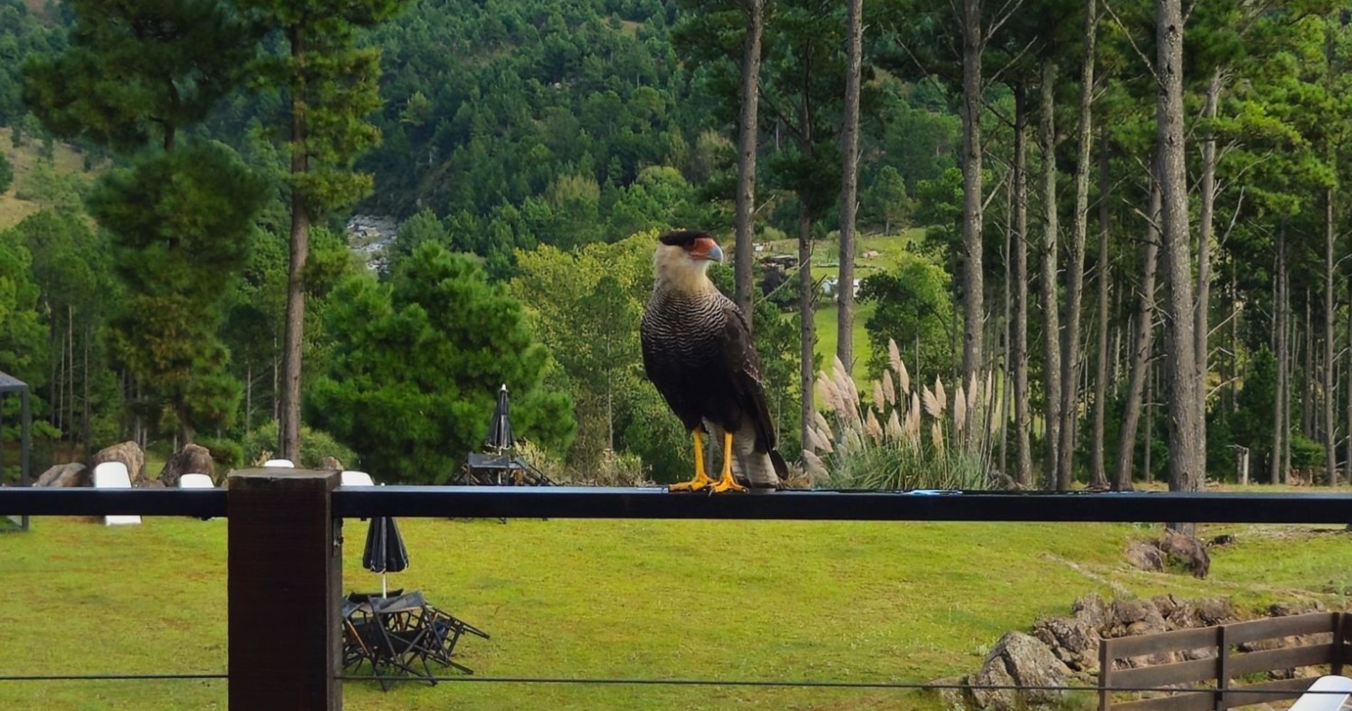 Cabañas Ayllu Pelli