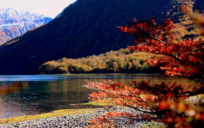 Esquel Apart