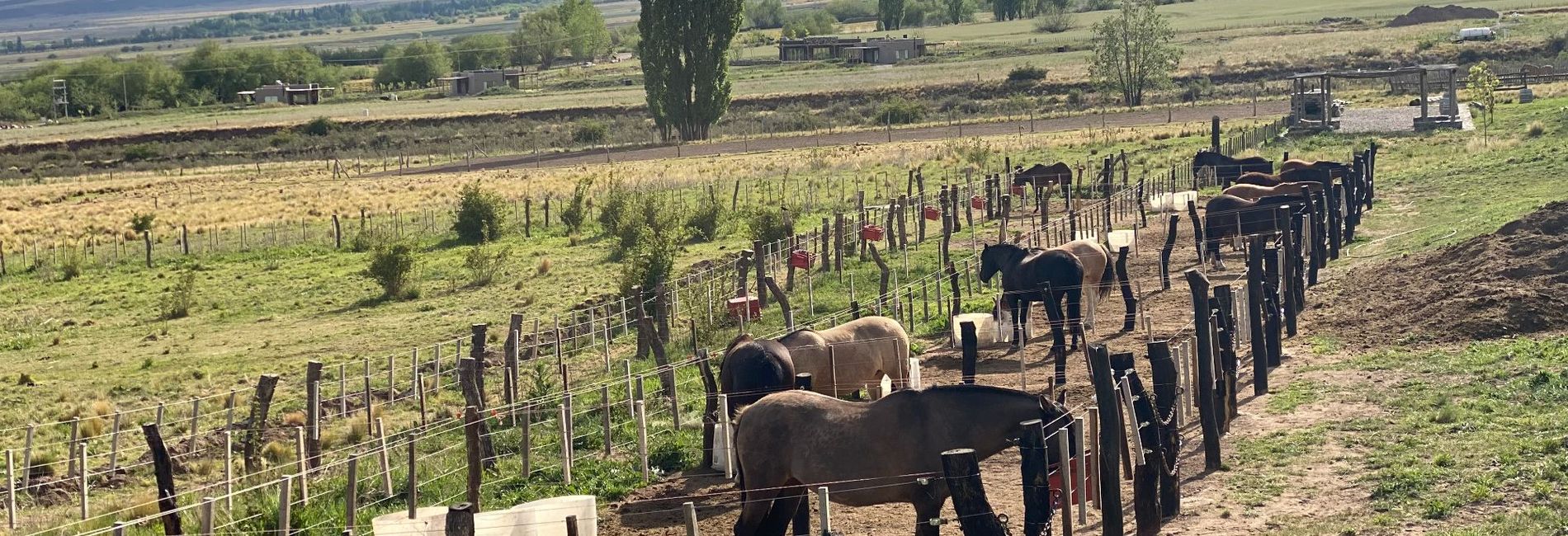 HOTEL DE CIELO - Valle de Uco 