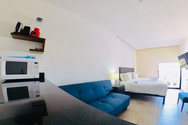 Roof Studio in Vanessa 24