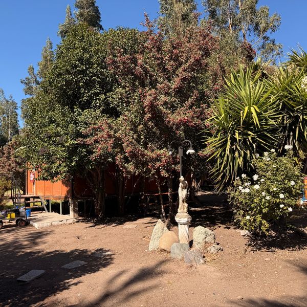 LOS OLMOS HOTEL. SELFIBAR RESTAURANTE