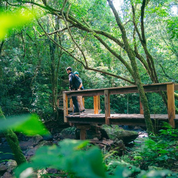 Posada Puerto Bemberg