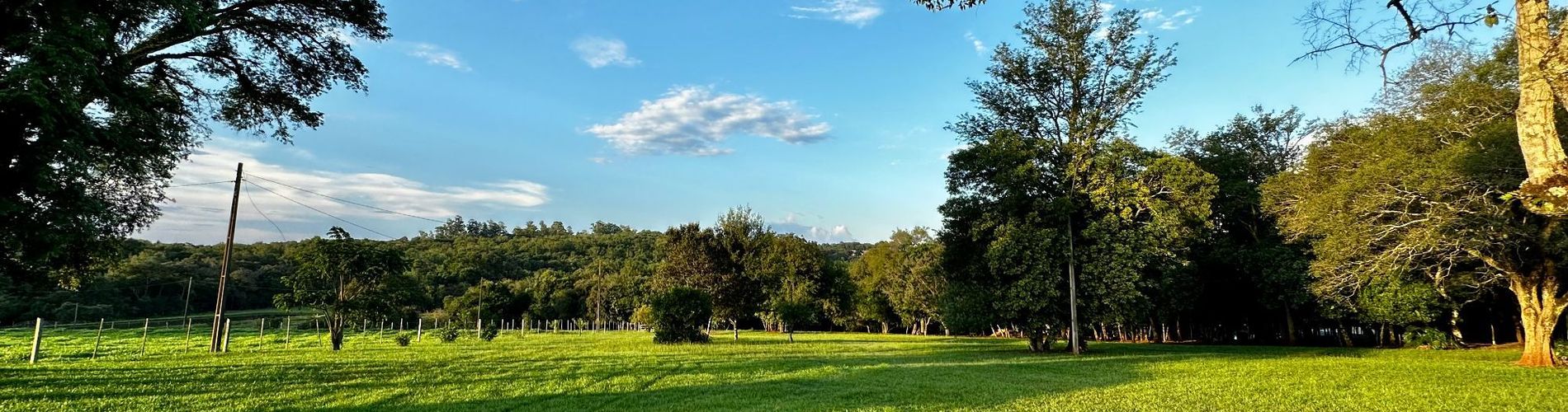 Parque Hotel Manantial