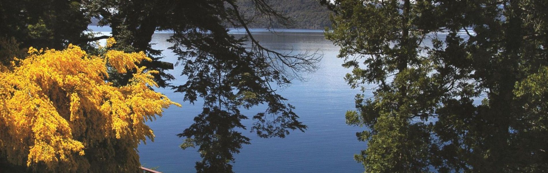 Paseo de la Costa de Lago