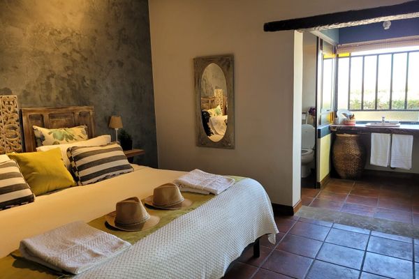 Suite Superior Petroleo 