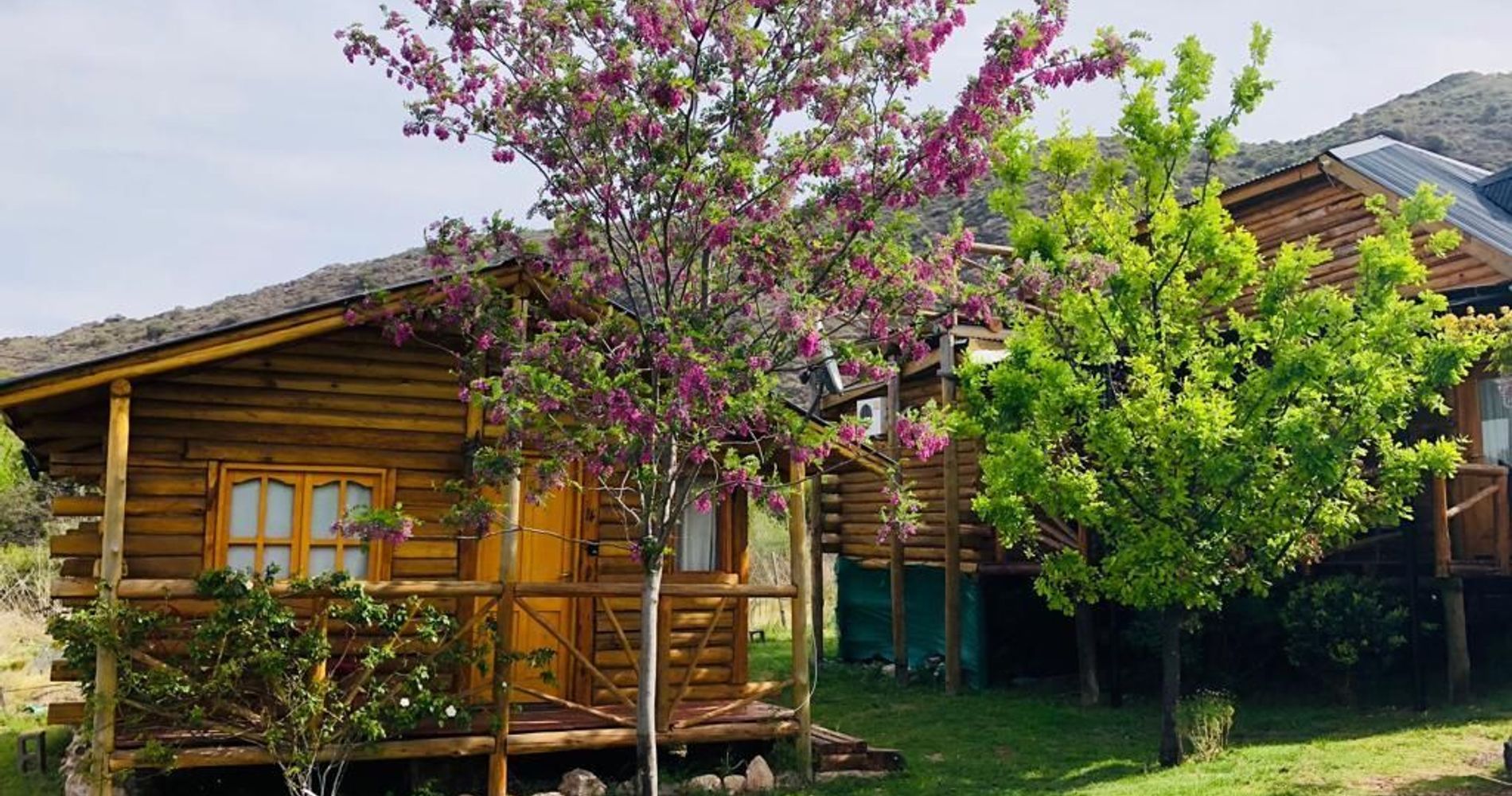 Cabañas de tronco macizo