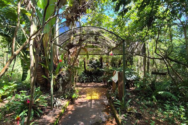 Glamping Selva Iguazú