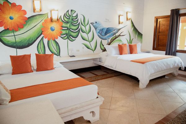 Suite Premium Familiar