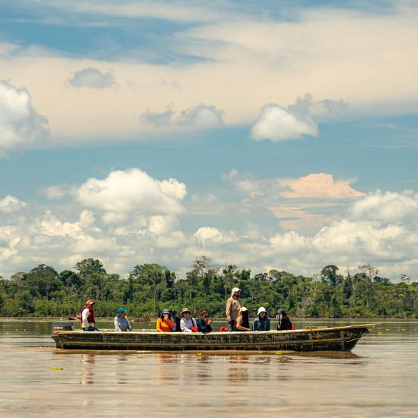 Heliconia Amazon River Lodge