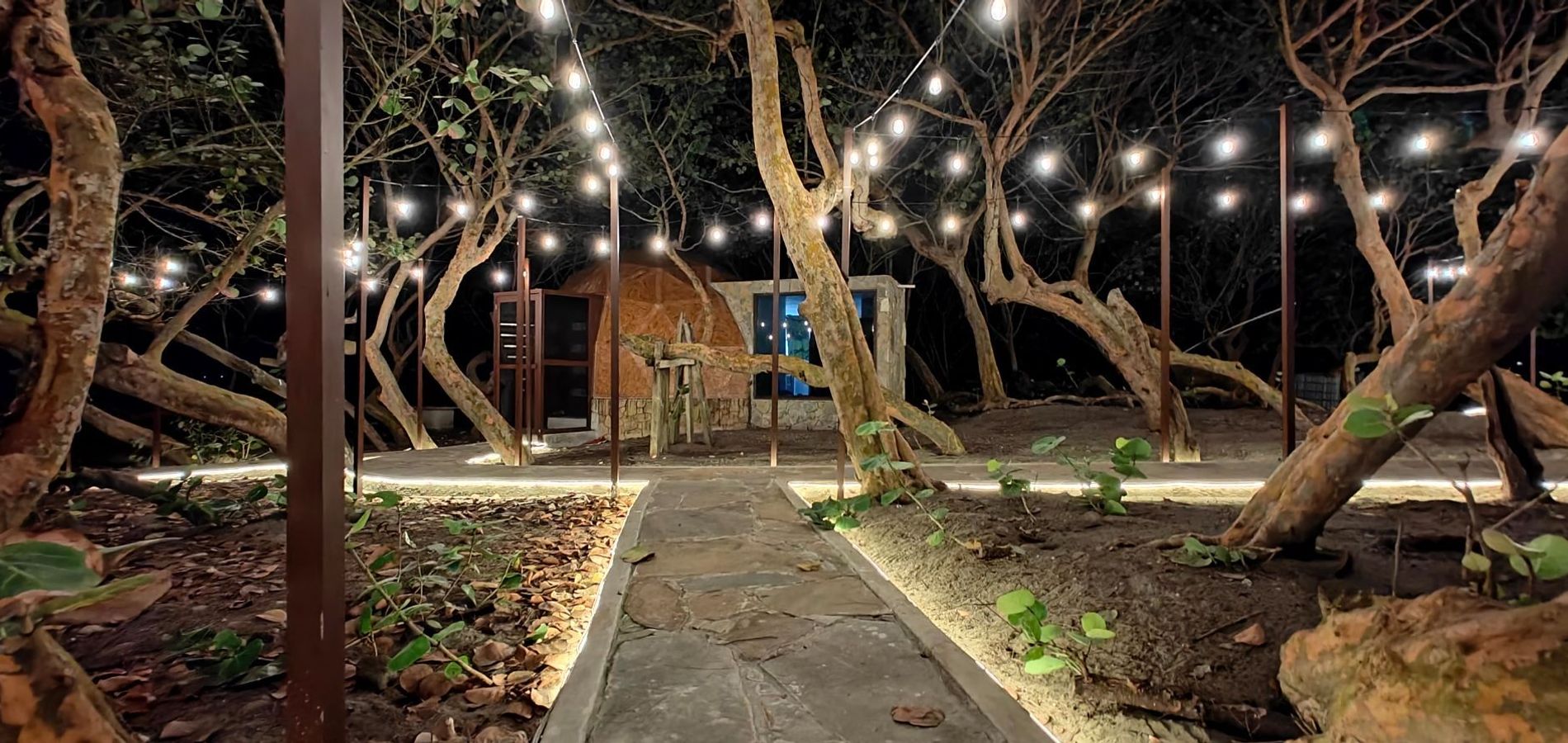 Hotel Playa Tortugas