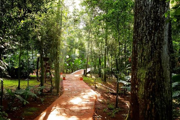 Cabaña Familiar Estándar Hasta 5 personas