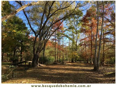 Bosque de Bohemia. Alquiler Temporario. Delta Tigre