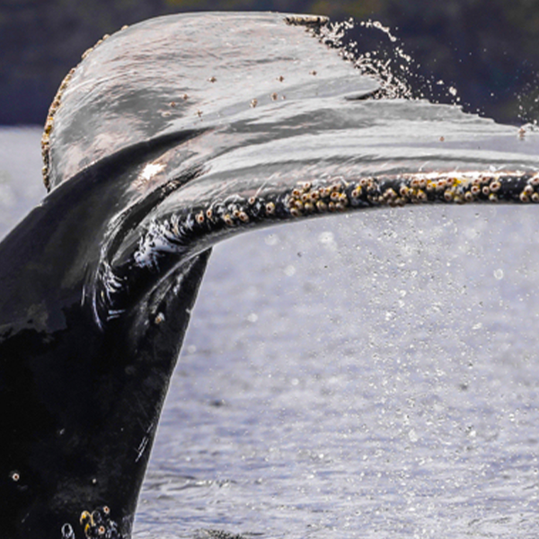 Hostal Ochen Punta Arenas