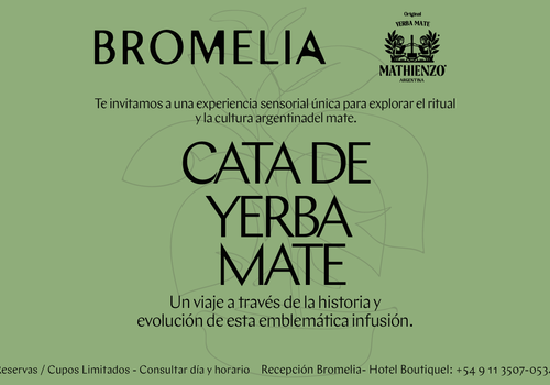 CATA DE YERBA MATE