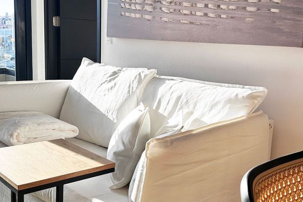 C 401 / Departamento Chorlo de Magallanes