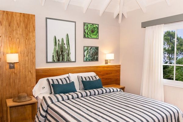 Apart 2 ambientes sola planta - 1° piso