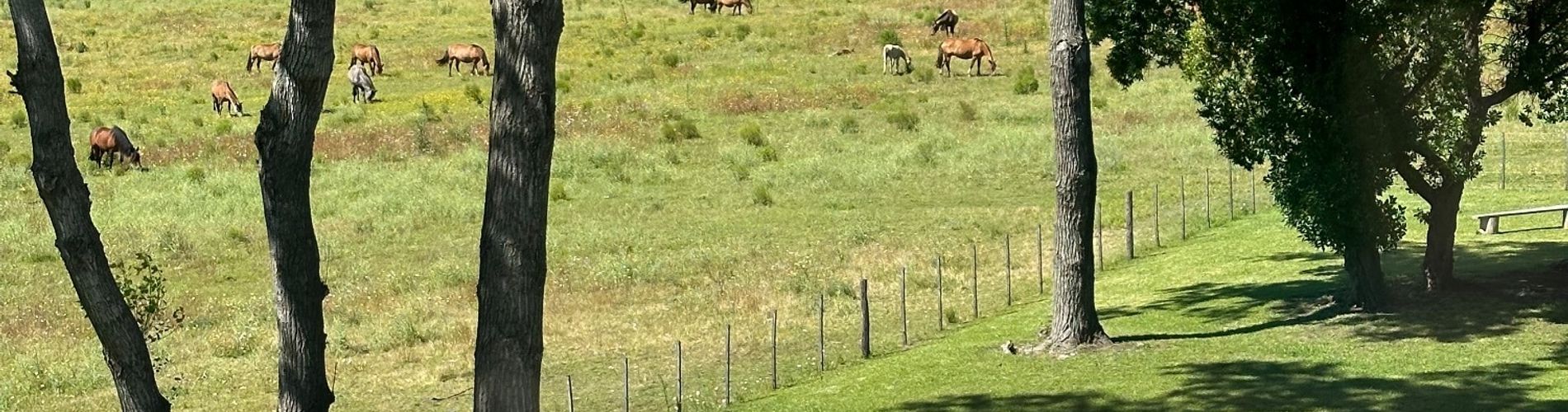HOTEL EL PARAISO DE LA SIERRA