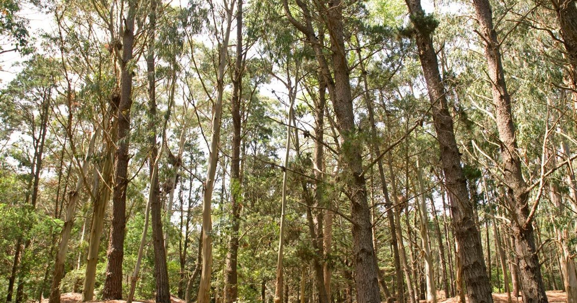 Pillmayken Apart & Spa