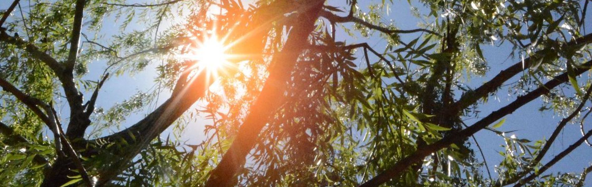 Cabañas Carü Leufu