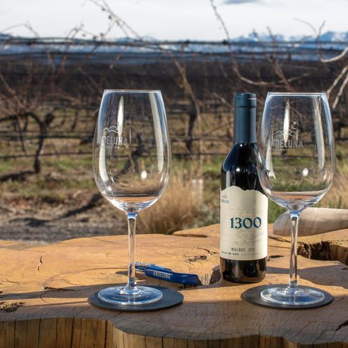 Andeluna Winery Lodge