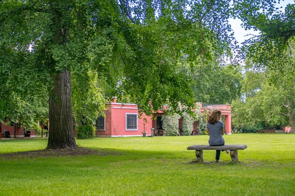 Día de campo Gaucho