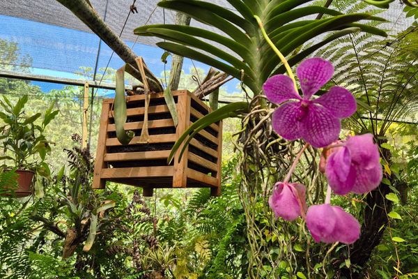 Glamping Selva Iguazú
