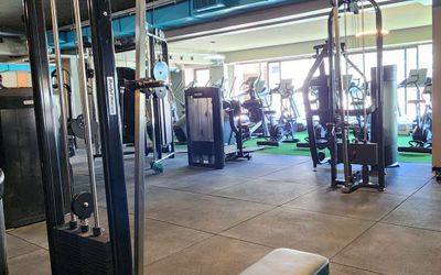 RaicesAconcagua - REAXION