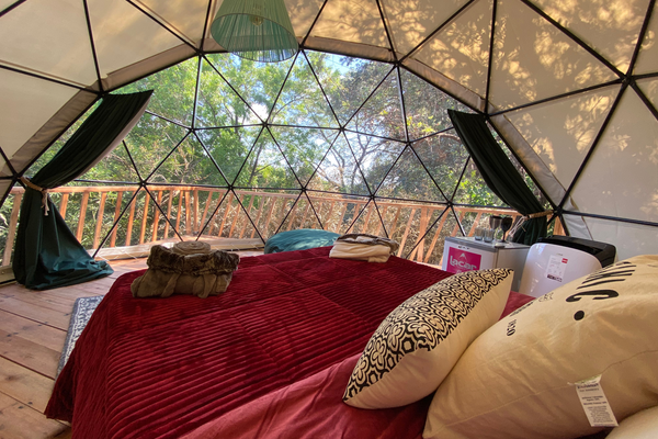 Domo La Flor de la Vida