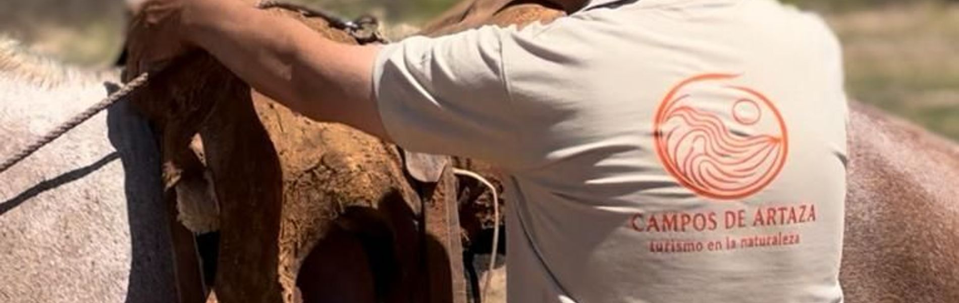 Eco Lodge - Campos de artaza