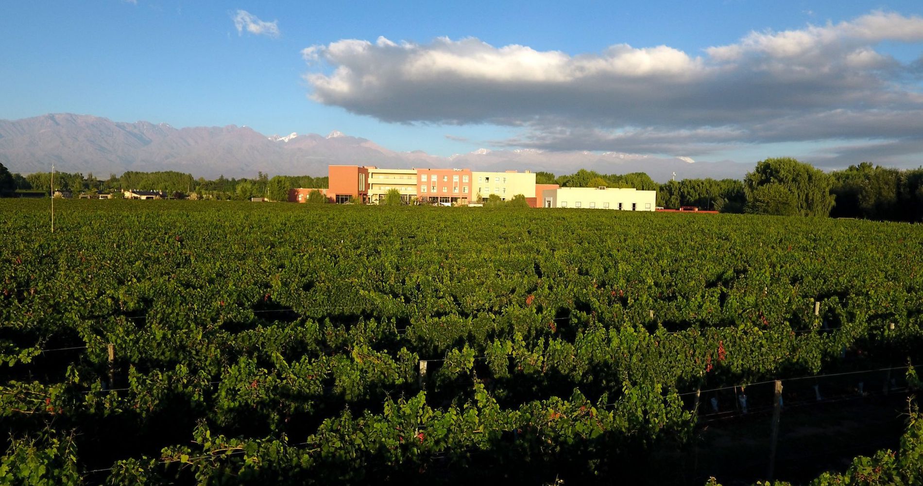 Fuente Mayor Hotel, Restaurante, Casino y Spa | Valle de Uco