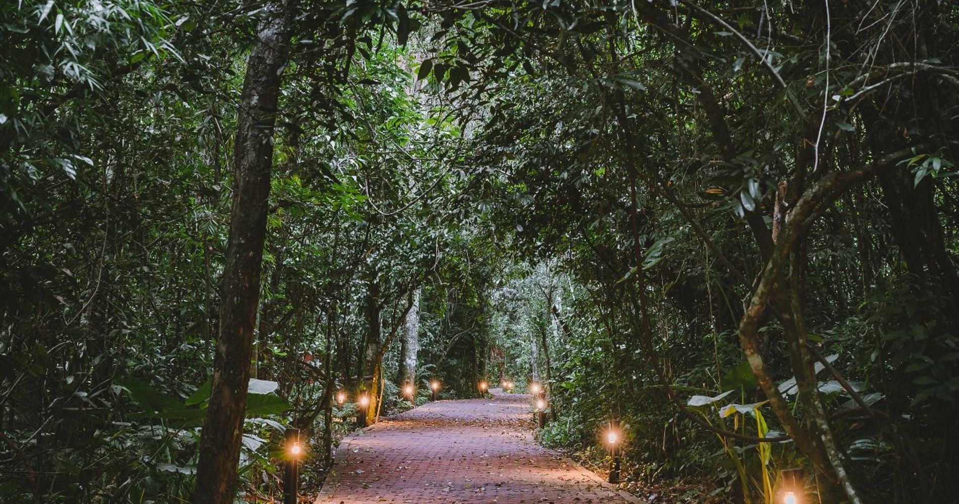 La Aldea de la Selva Lodge