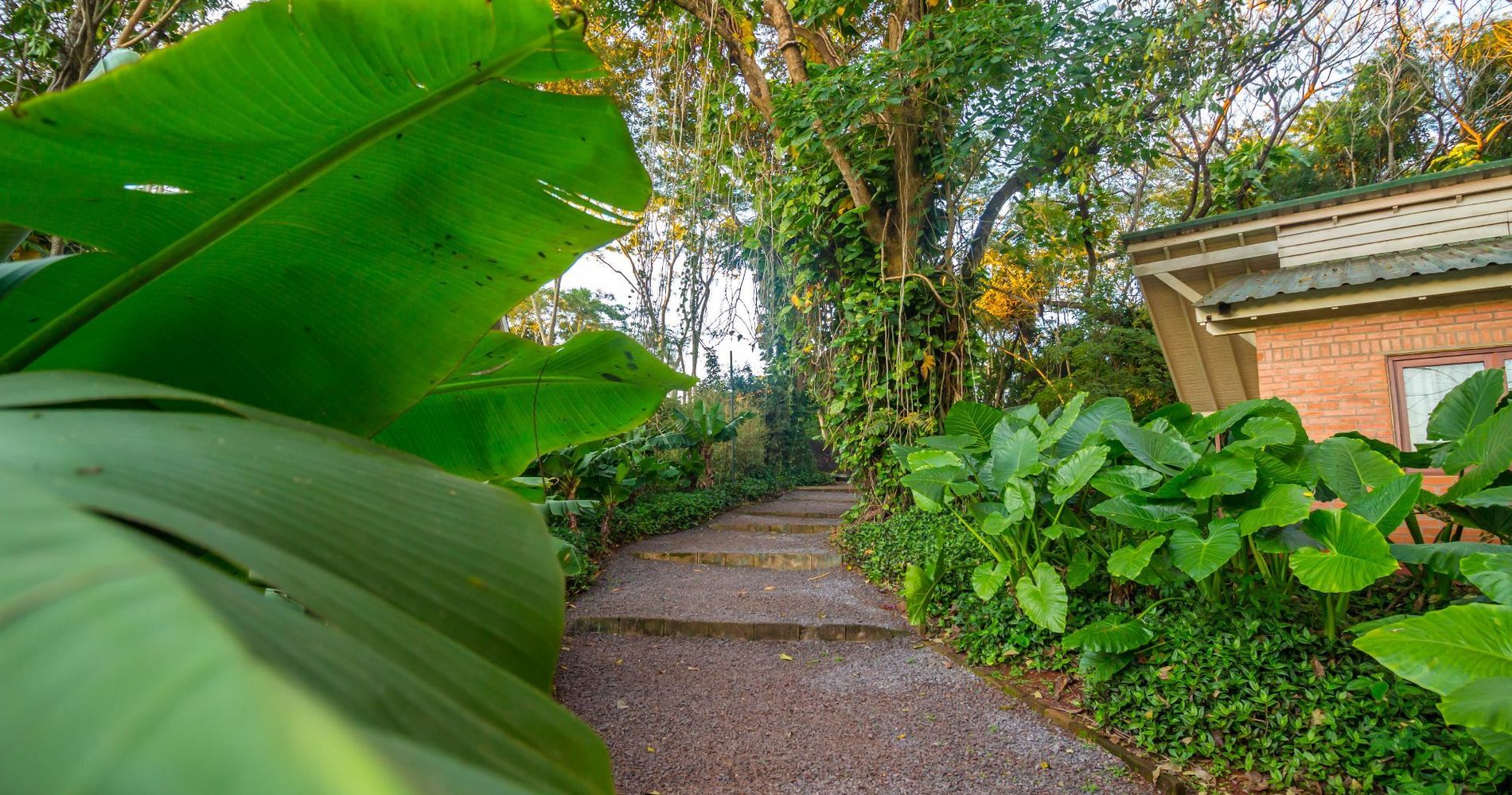 Raíces Amambai Lodges