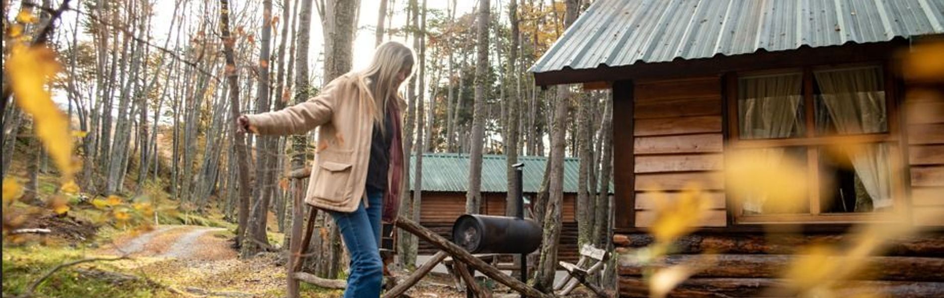 Cabañas Aldea Nevada