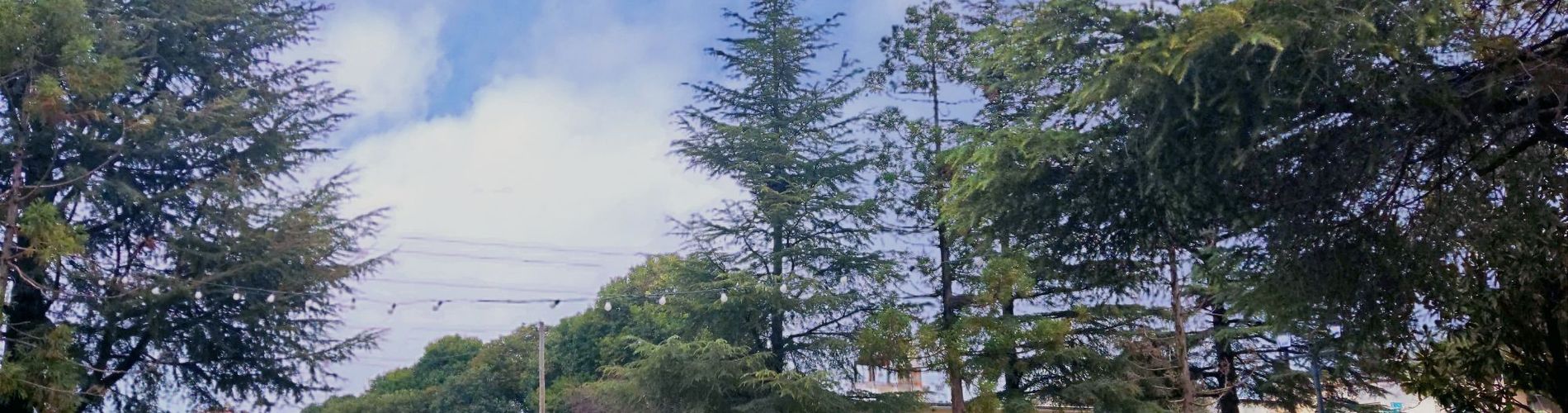 CAROD ESPACIO SERRANO