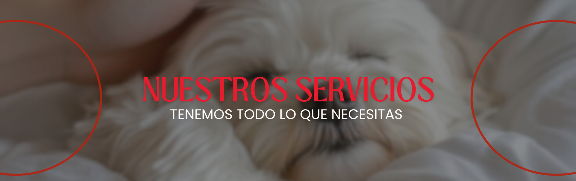 Hotel Windsor Mendoza