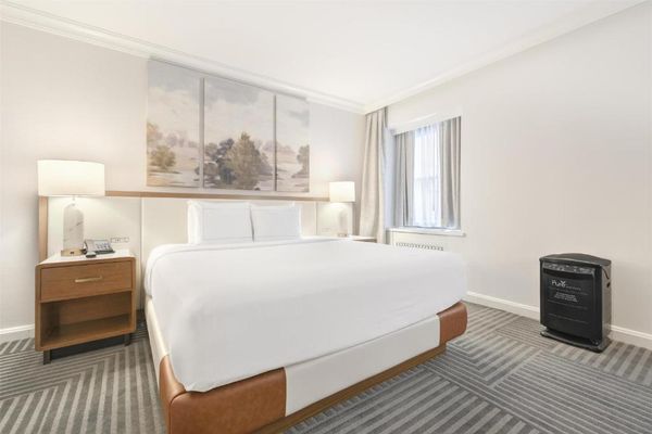 Habitación PURE Wellness con cama extragrande