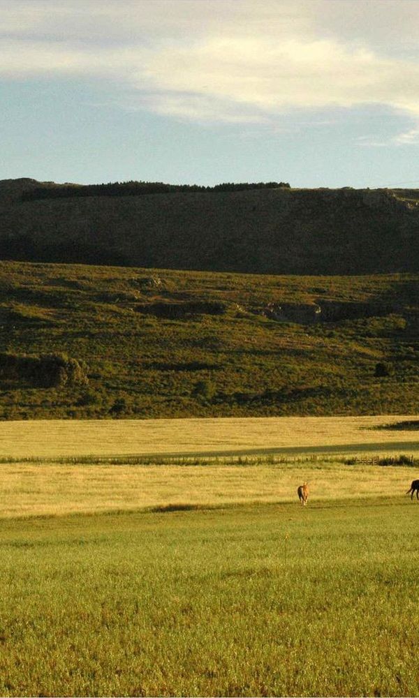 HOTEL EL PARAISO DE LA SIERRA